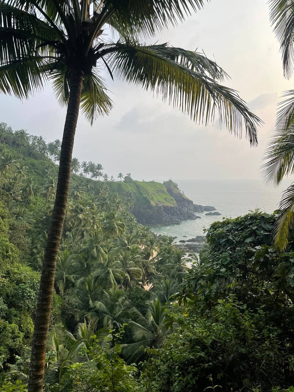 Panoramic Cliff Views