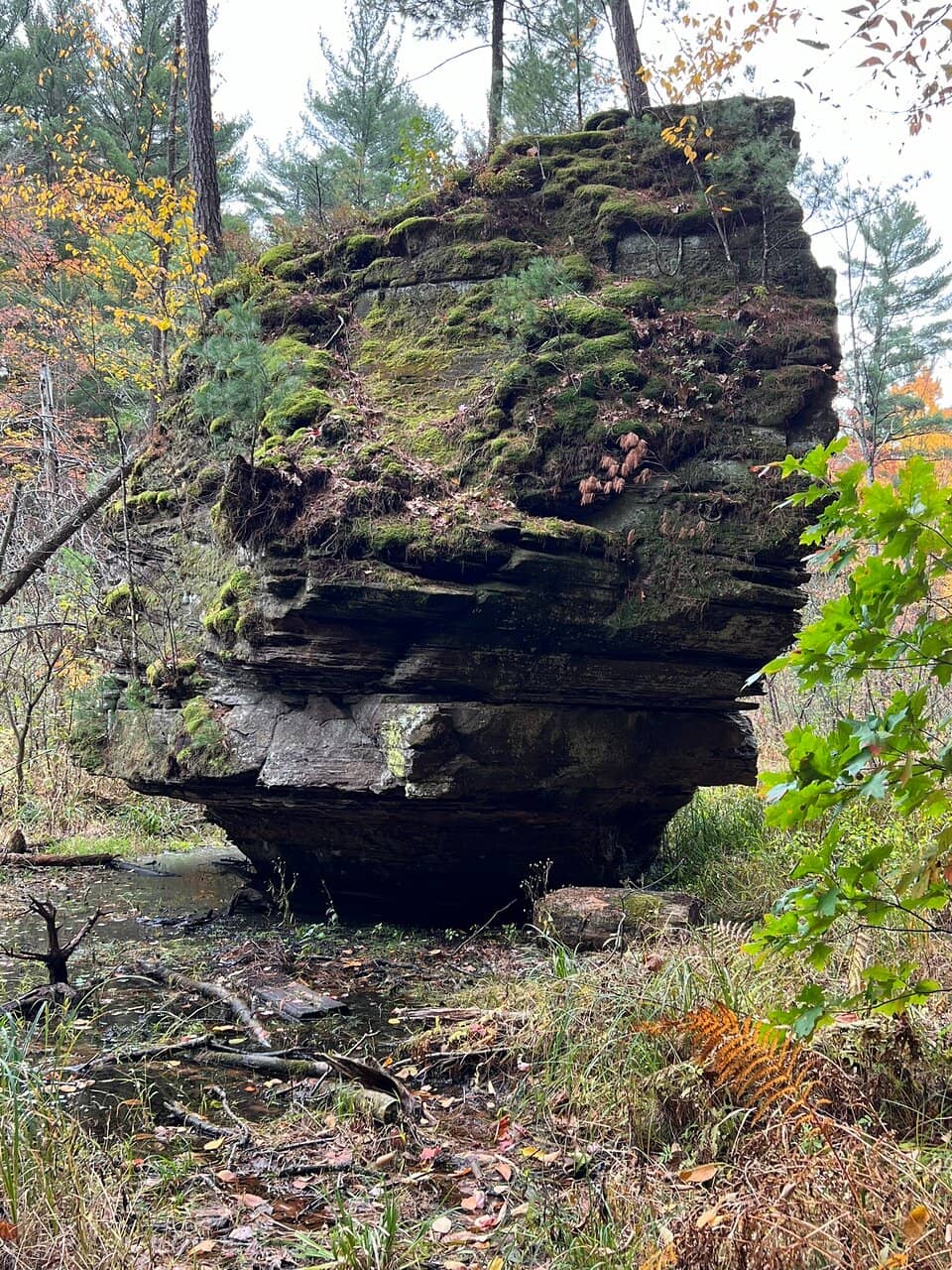 Secluded Campsites