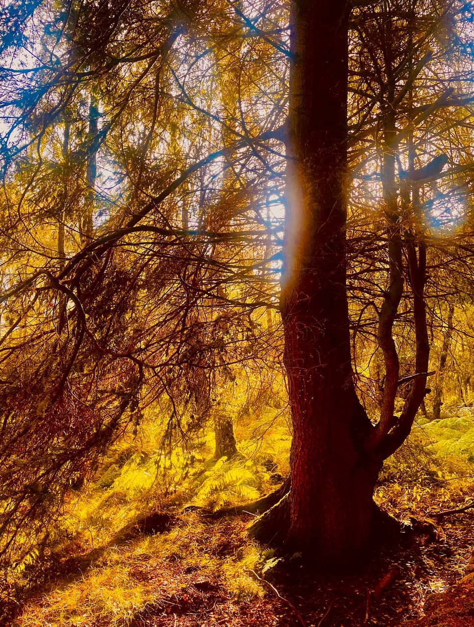 Vertical photo