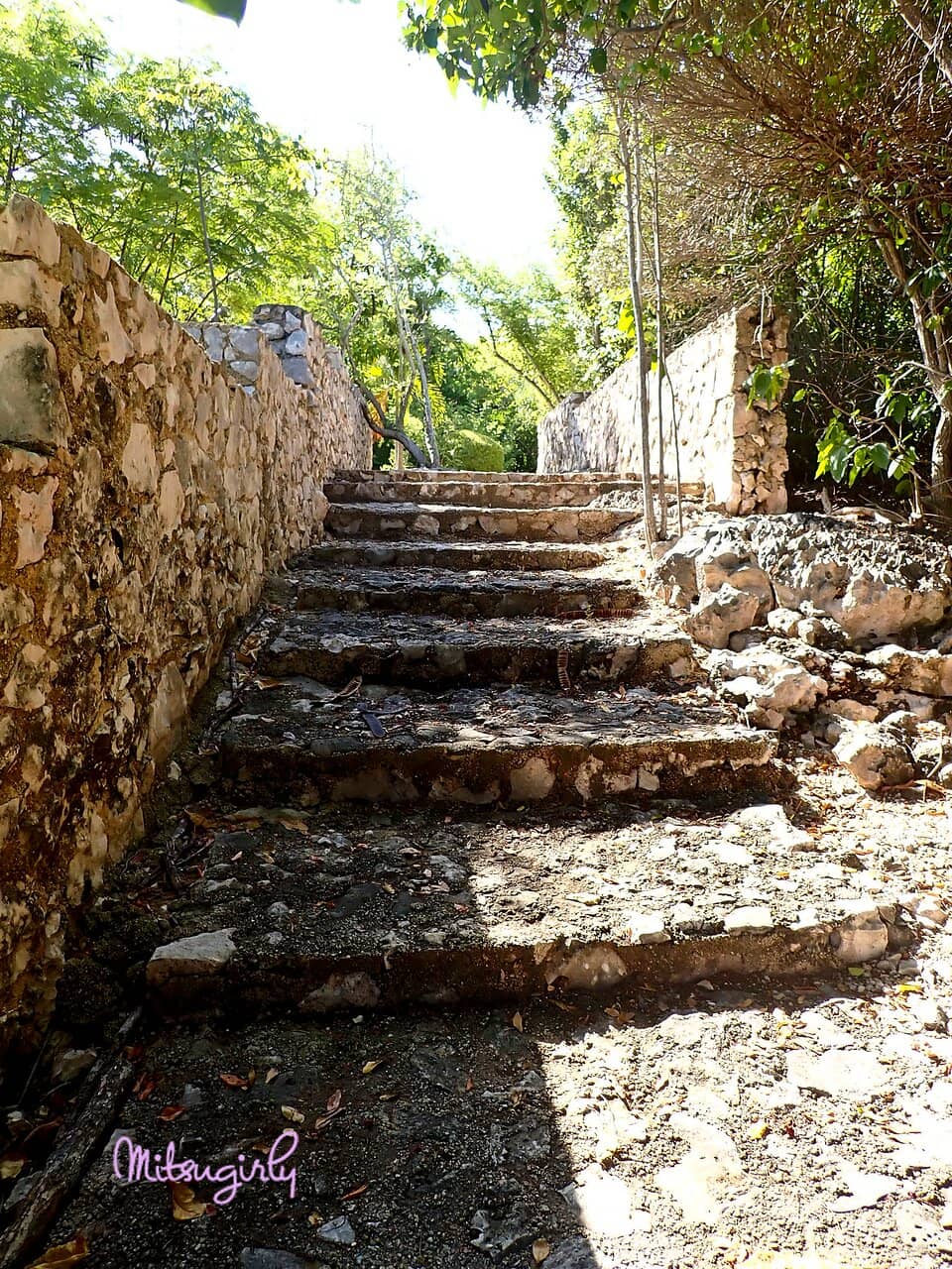 Waterfront Perspectives