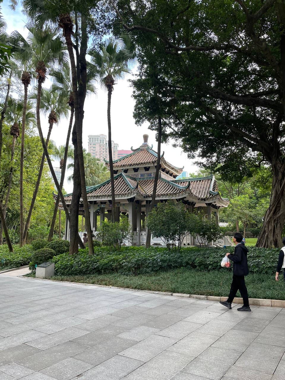 Pagoda Views