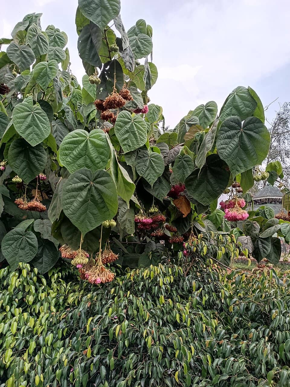Nature Trails & Riverfront