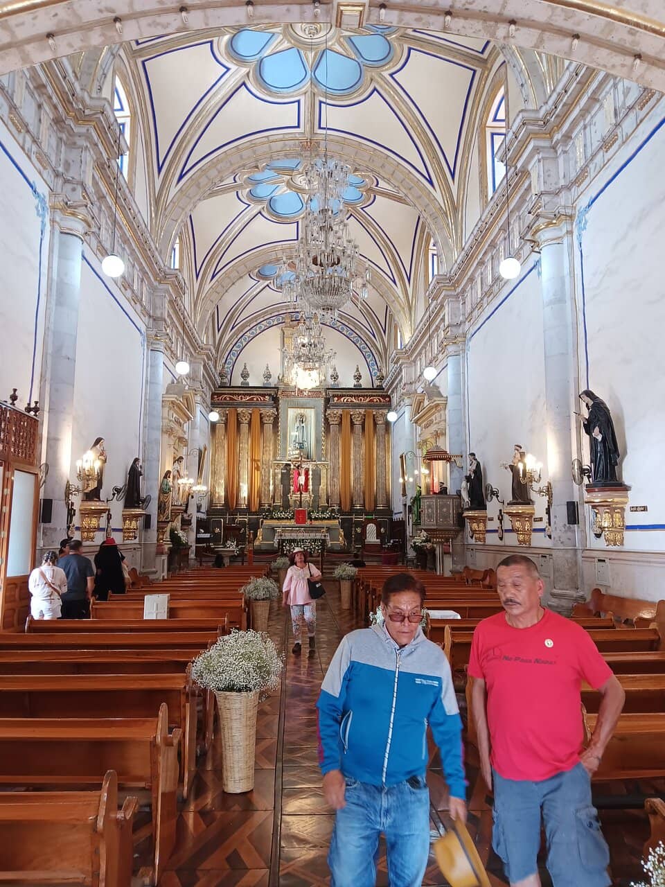 Vibrant Surroundings