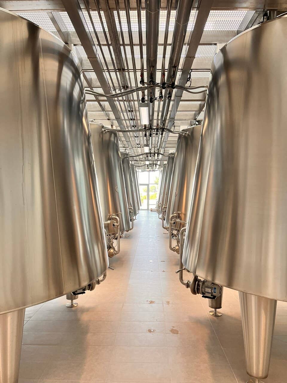 Exceptional Wine Tasting