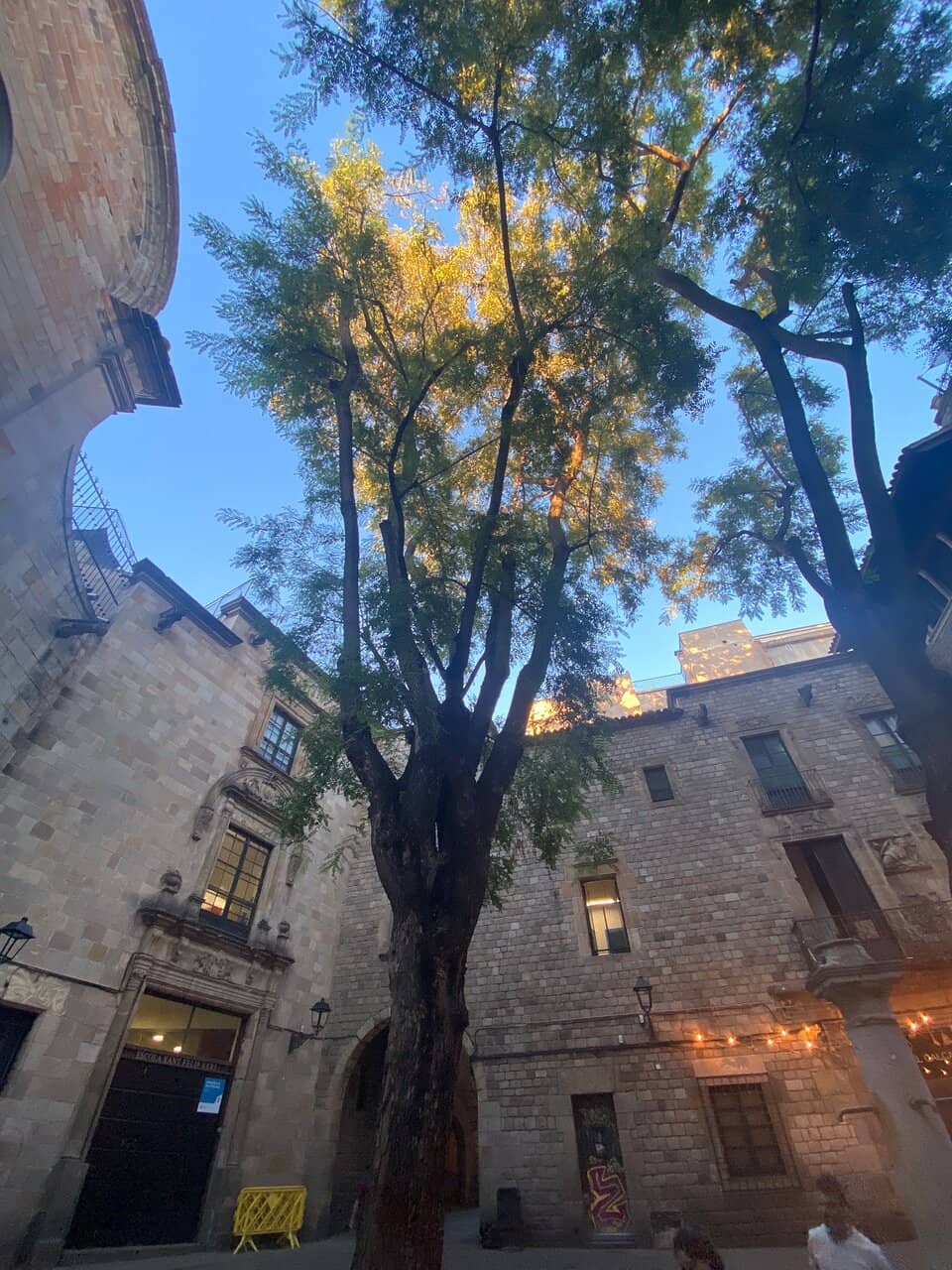 Bullet-Scarred Walls