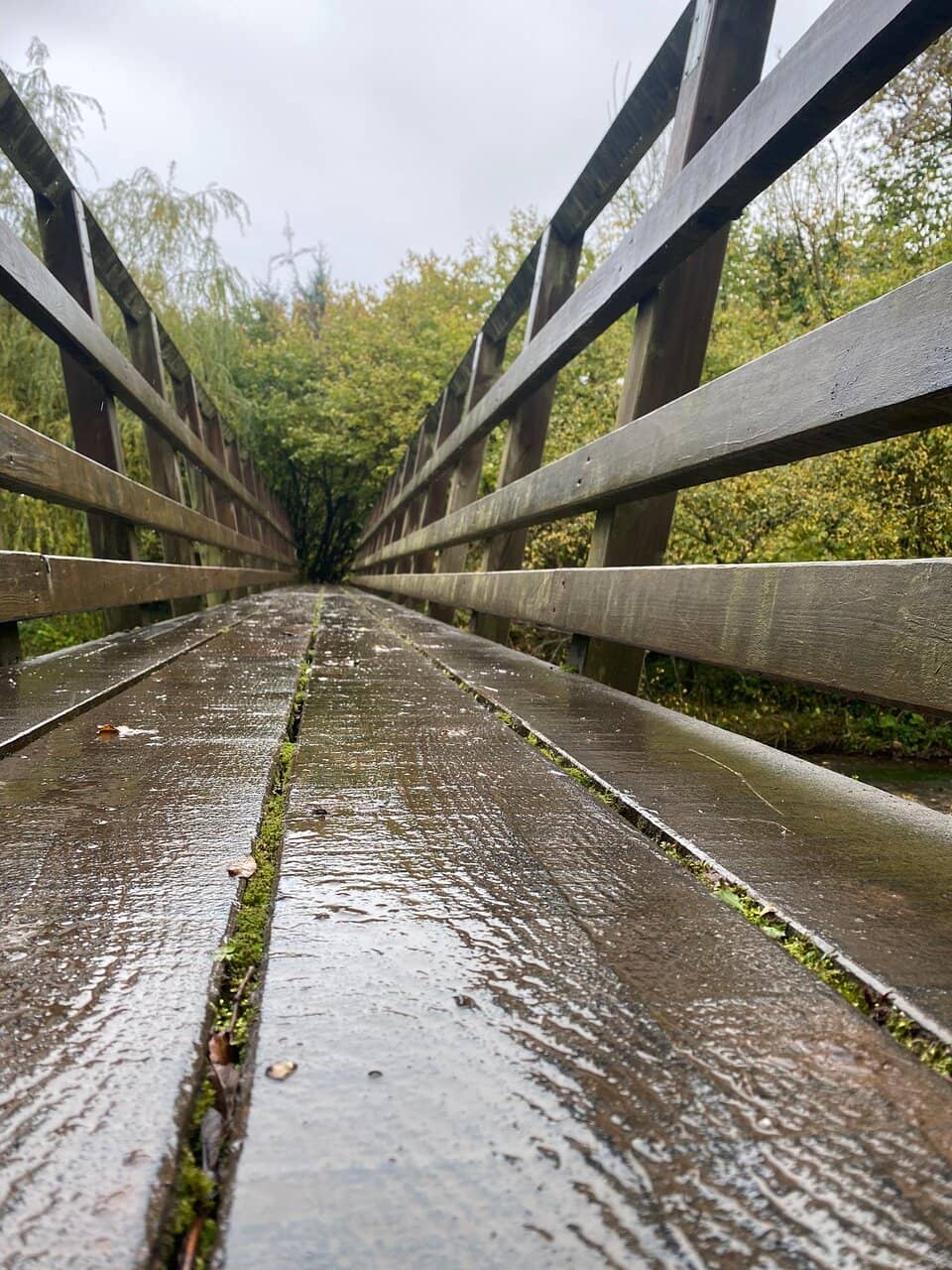 Scenic Countryside Walk
