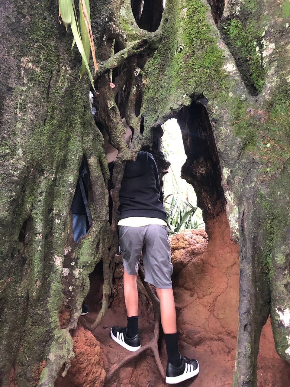 Vertical photo