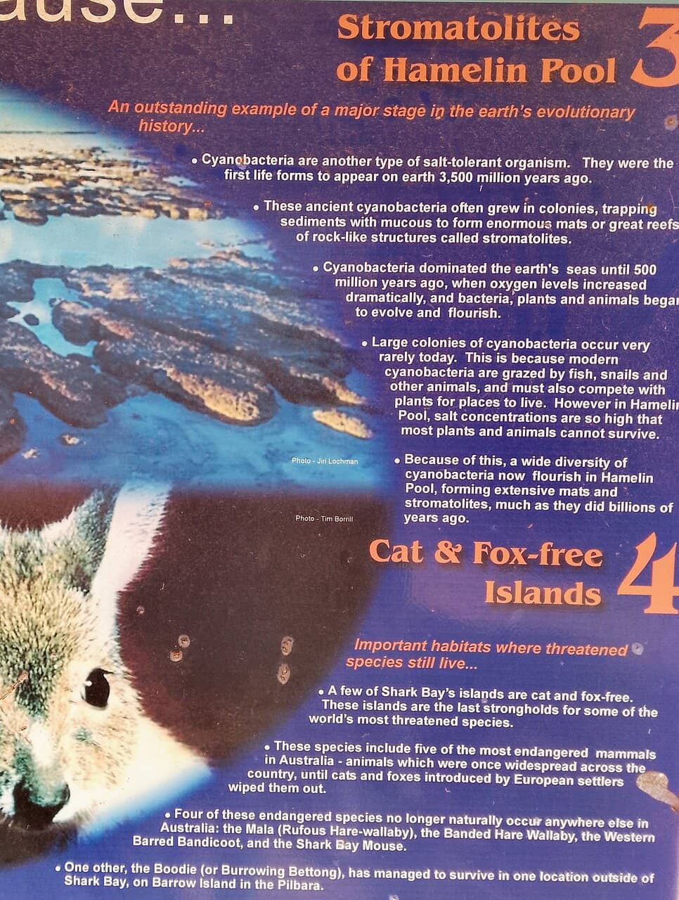 Vintage Wagons & Machinery