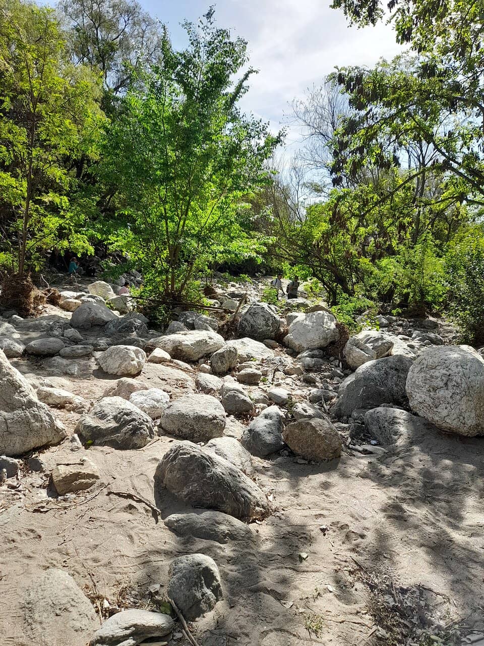 Rincones del Mogote