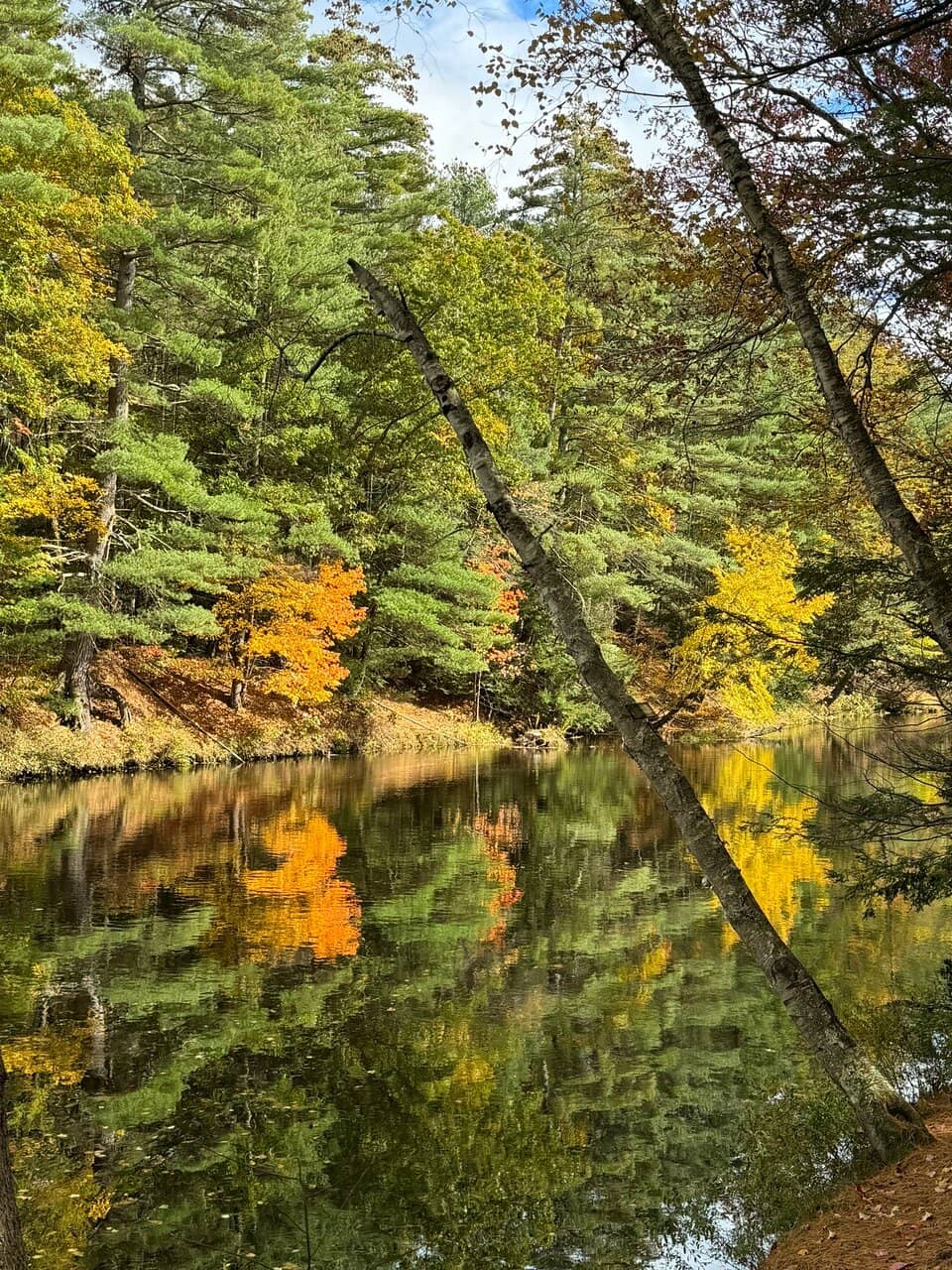 Vertical photo