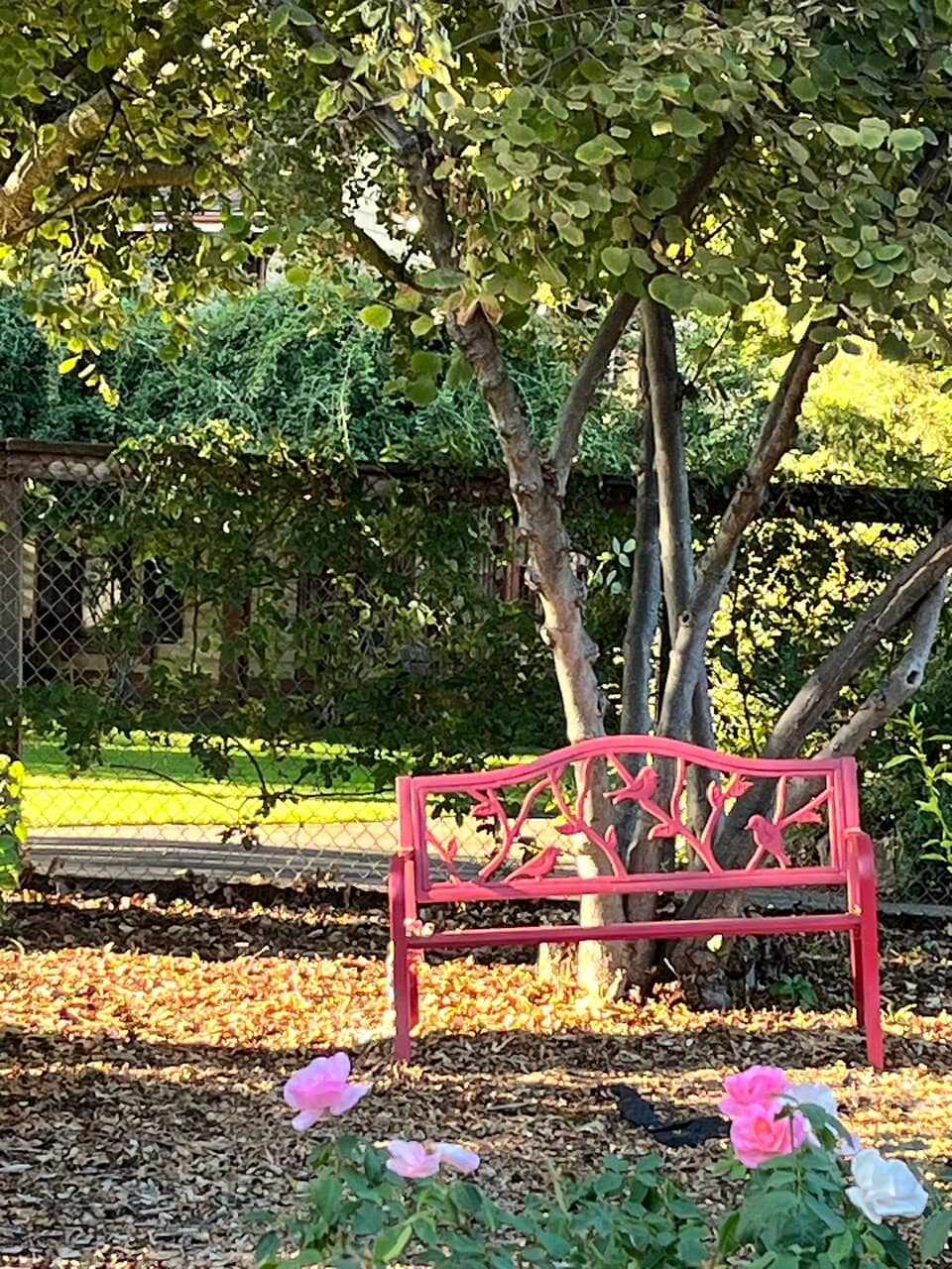 Japanese Garden