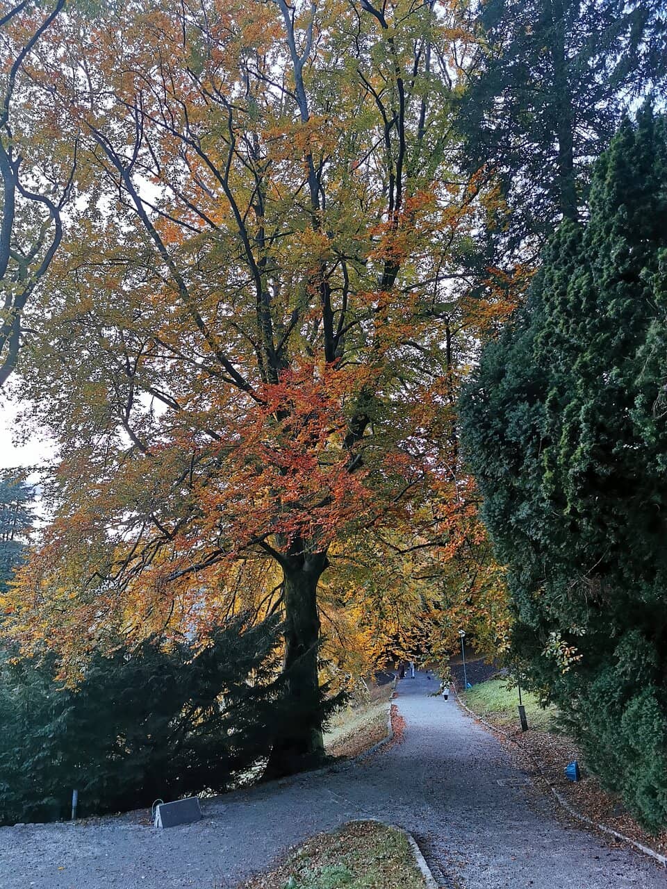 English-Style Gardens