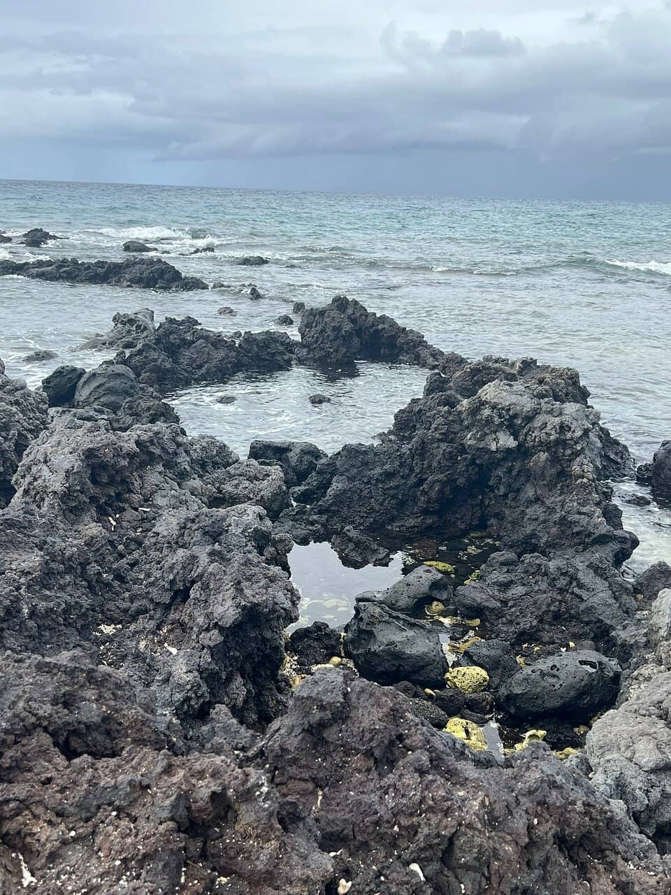 Picnic & BBQ Facilities