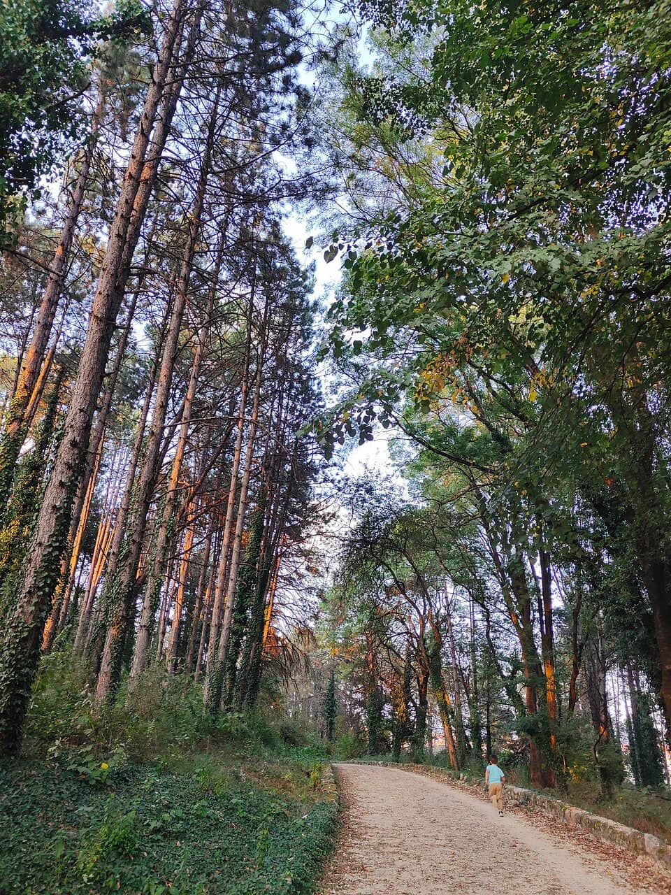 Vertical photo