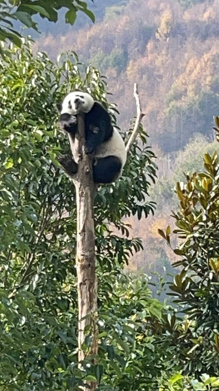 Wilderness Training Area