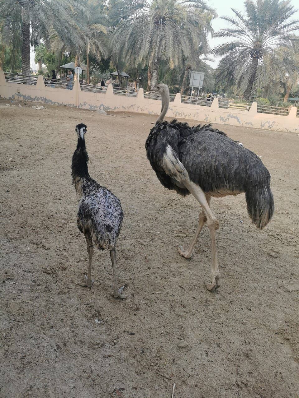 Japanese Botanical Garden