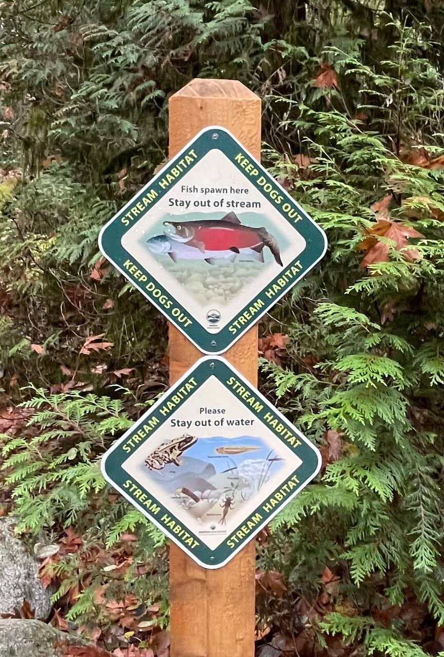 Dog-Friendly Trails