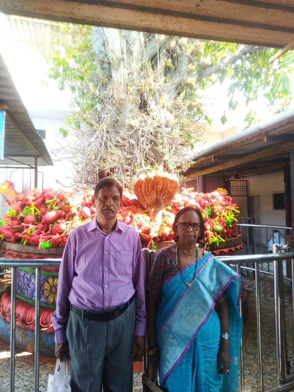 Sarpa Dosha Nivarana Pooja