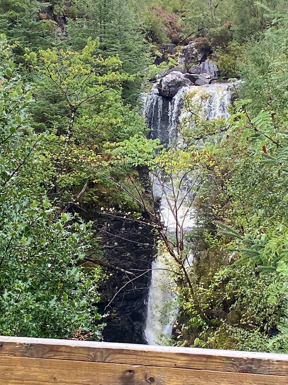 The Upper Falls Loop