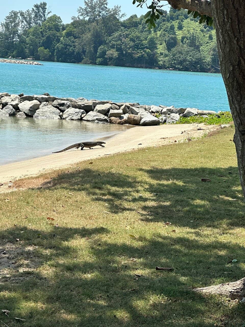 Edremit Marina Sunset