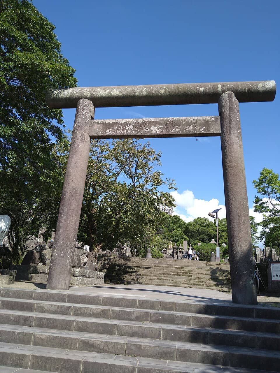 Vertical photo