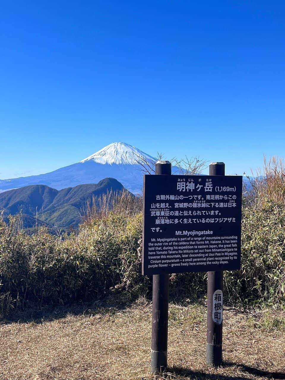 Forest and Boulder Path