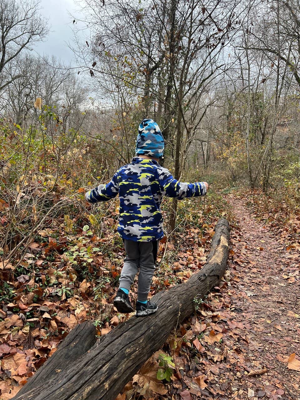 Kid-Friendly Play Area