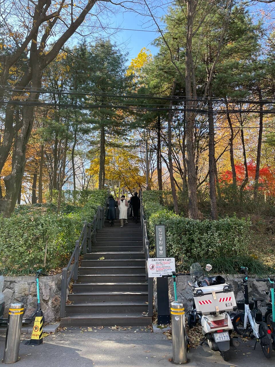 LV Dosan Park Pop-Up