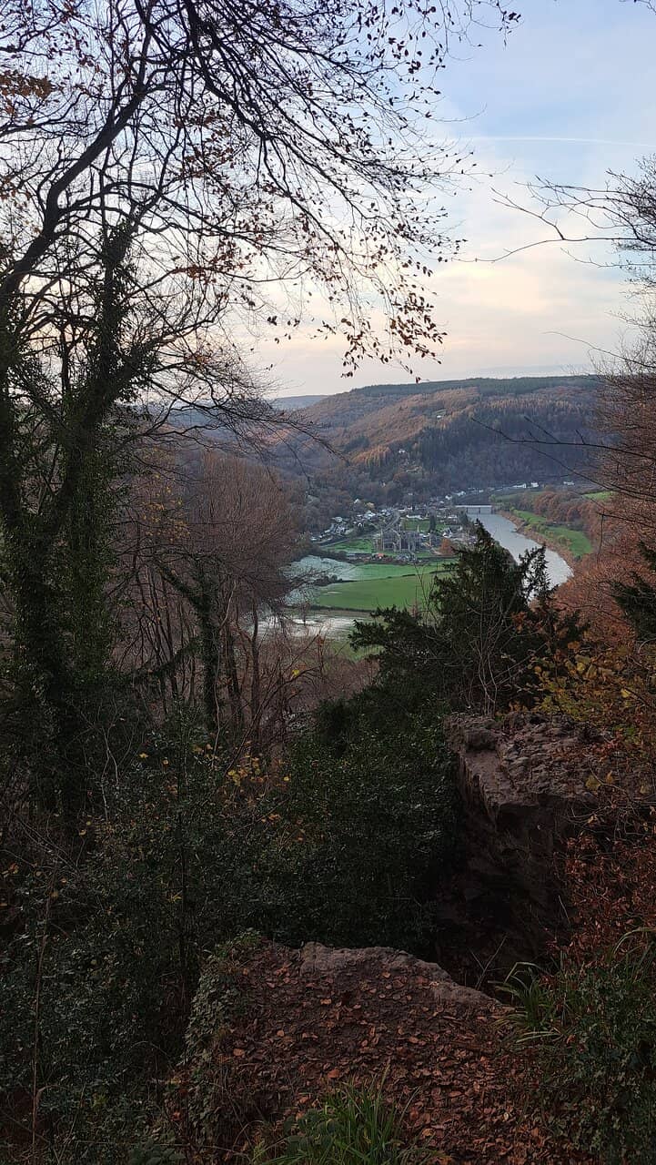 Vertical photo