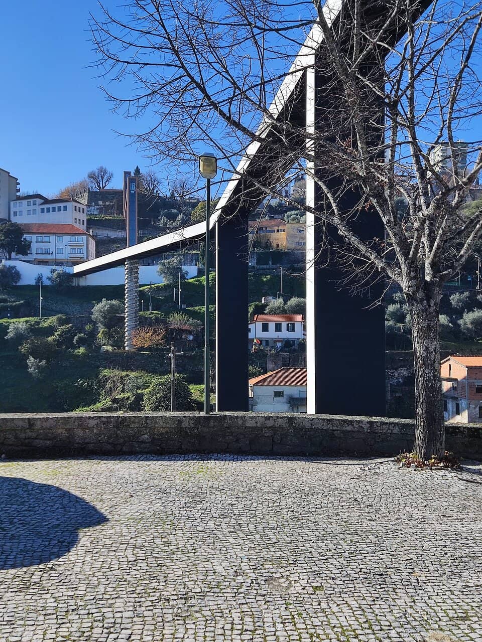 Panoramic City Vistas