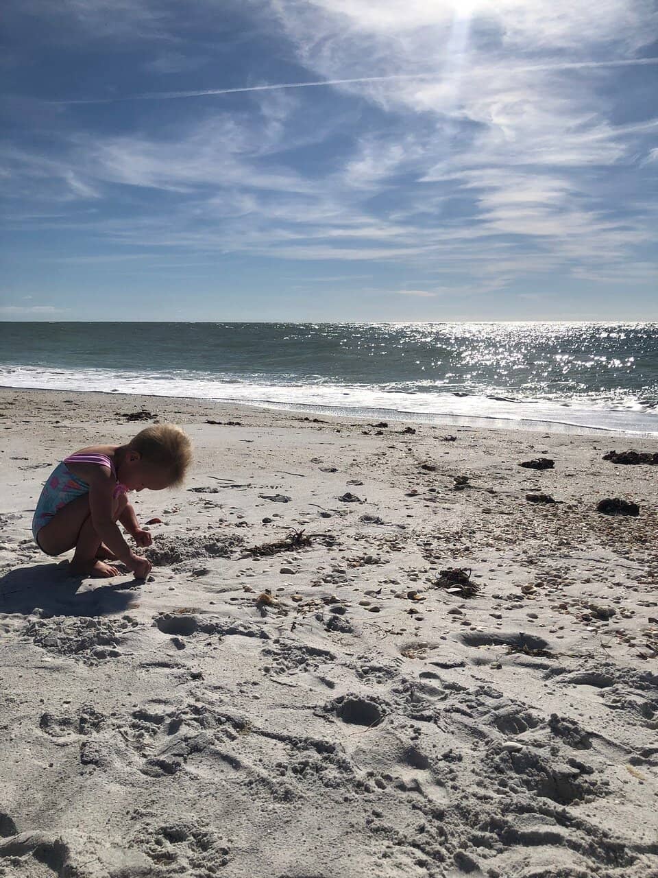 Abundant Wildlife Sightings