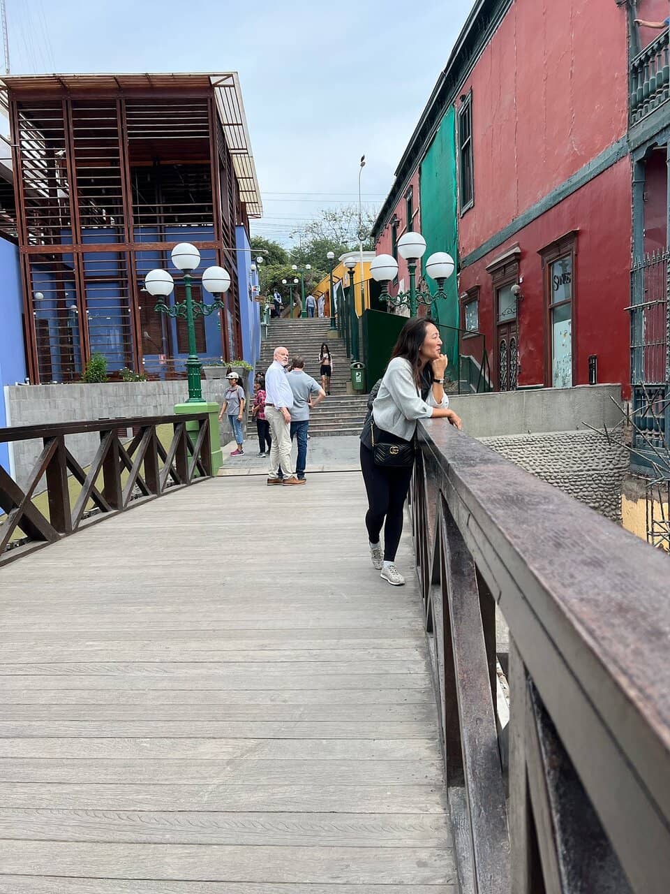 Birdwatching Opportunities