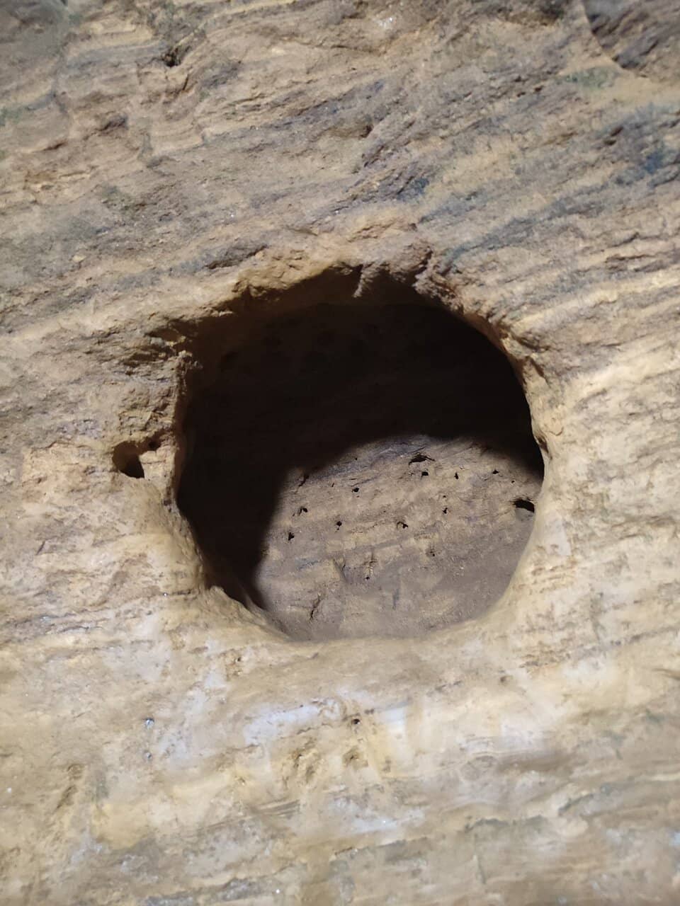 The Labyrinthine Tunnels