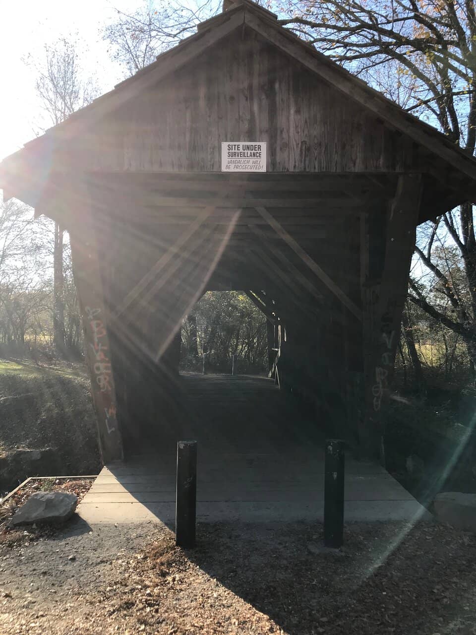 Creek Access and Swimming