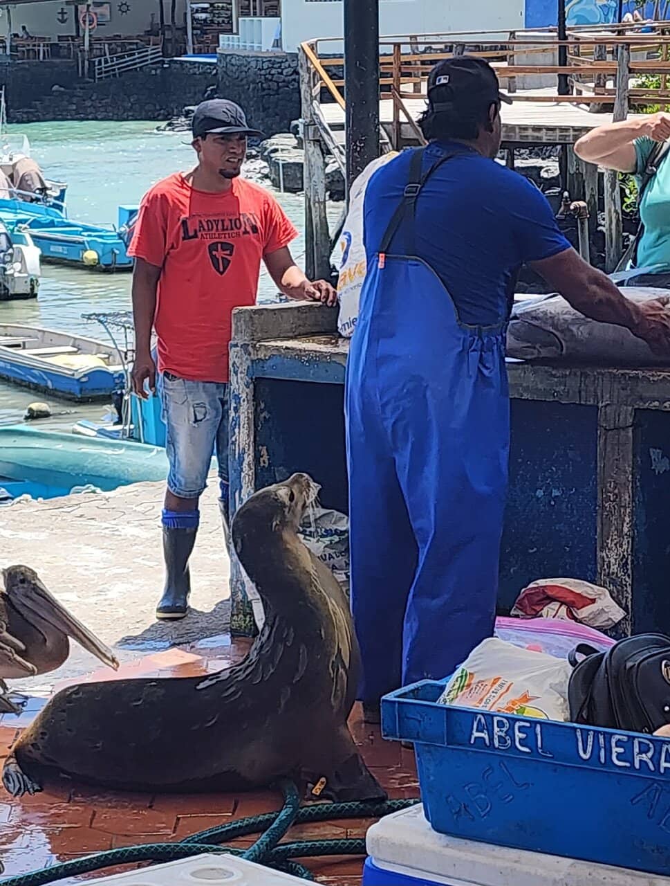 Direct from Fishermen