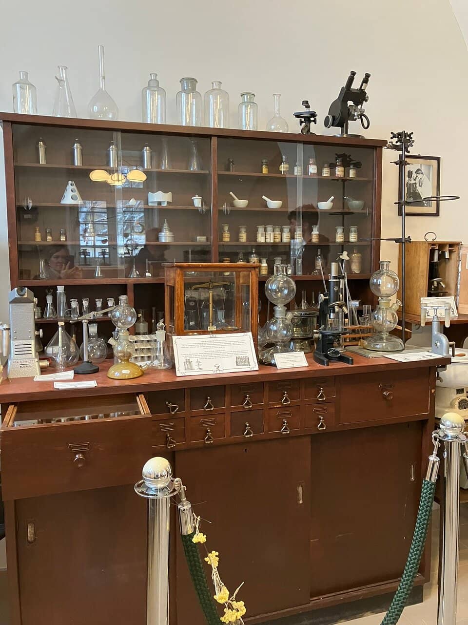 Plica Polonica Exhibit