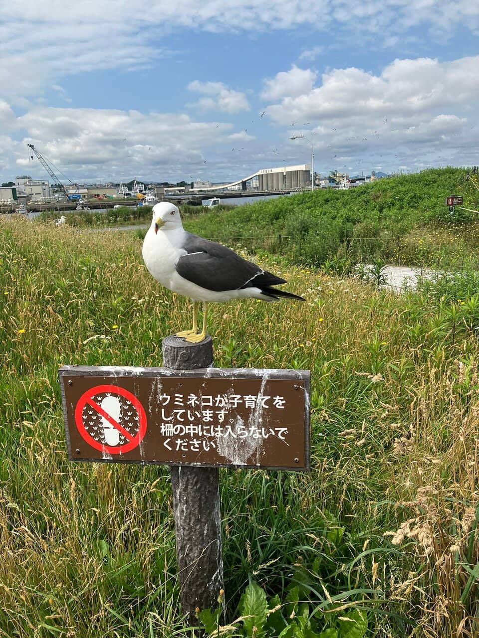 Kabushima Shrine Itself