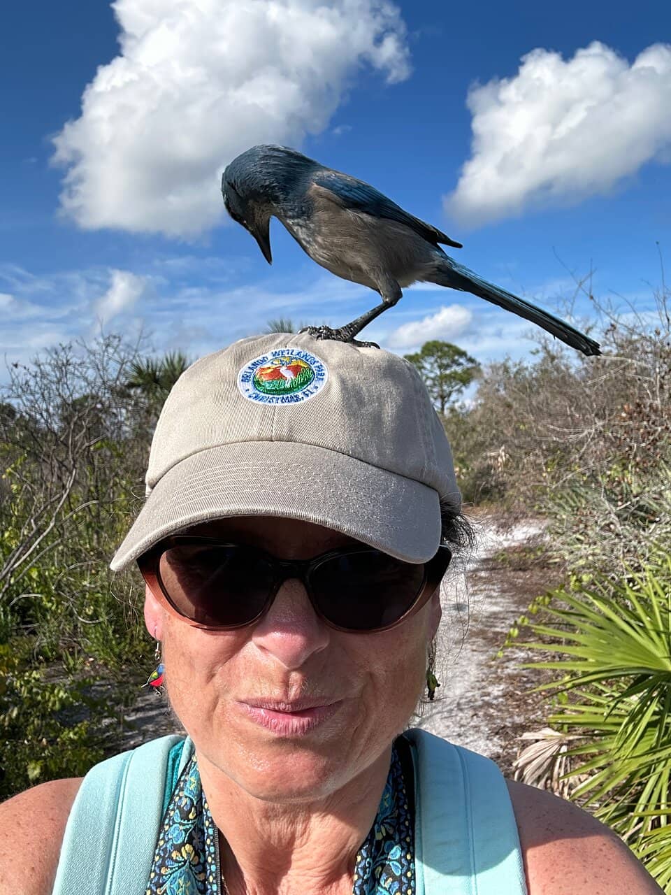 Abundant Bird and Fish Life