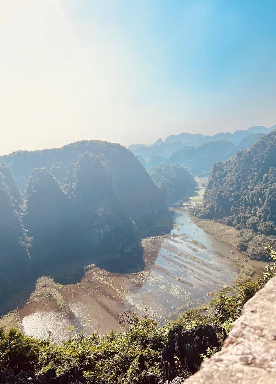 Lotus Fields in Bloom