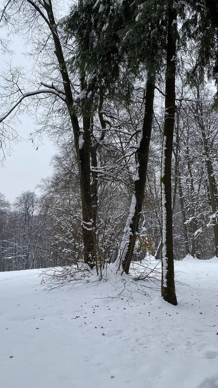 Wolski Zoo