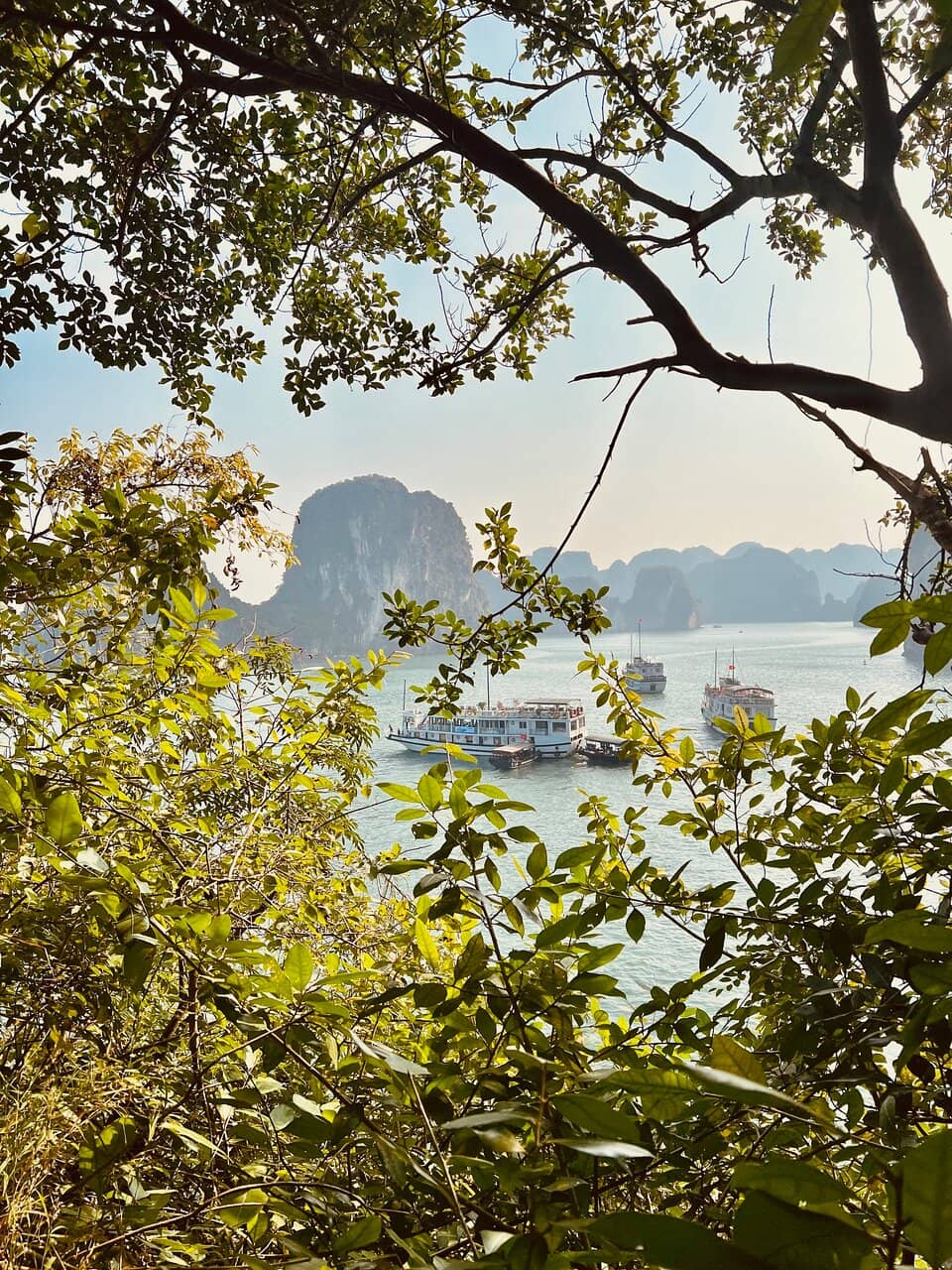 Limestone Karsts and Emerald Waters