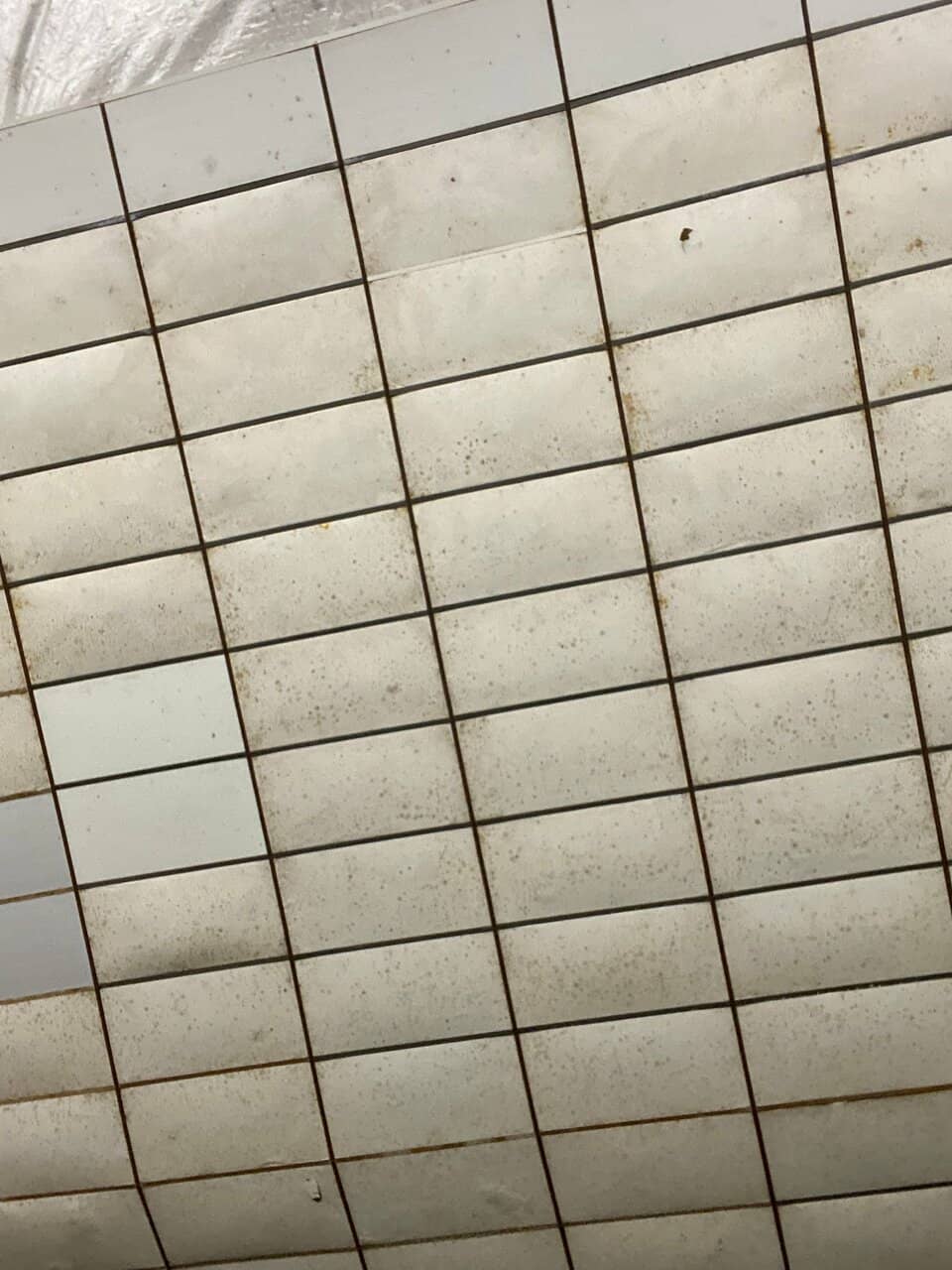 Highlights