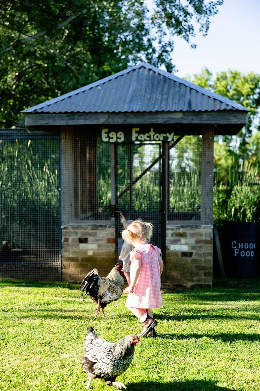 Animal Encounters