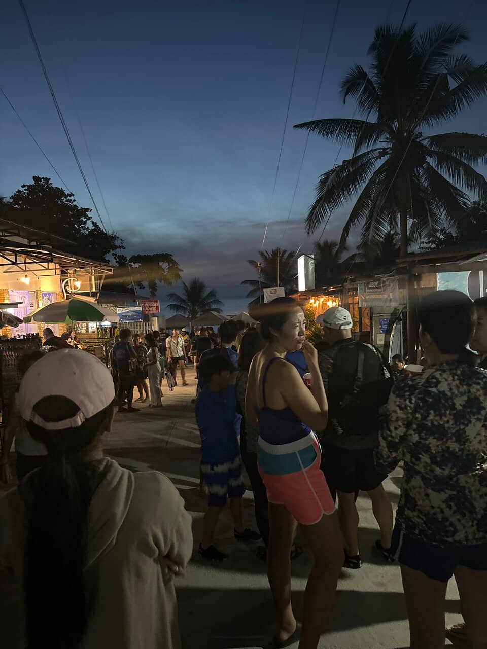 Swimming with Whale Sharks