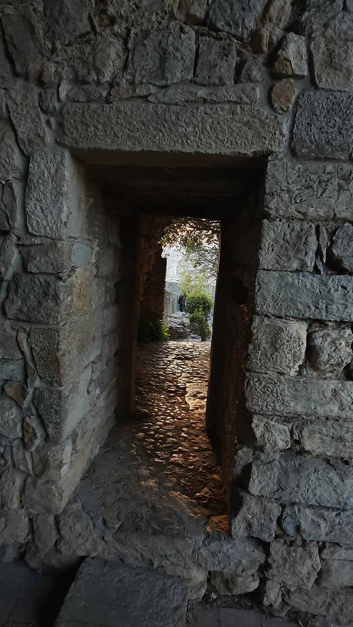 Vertical photo