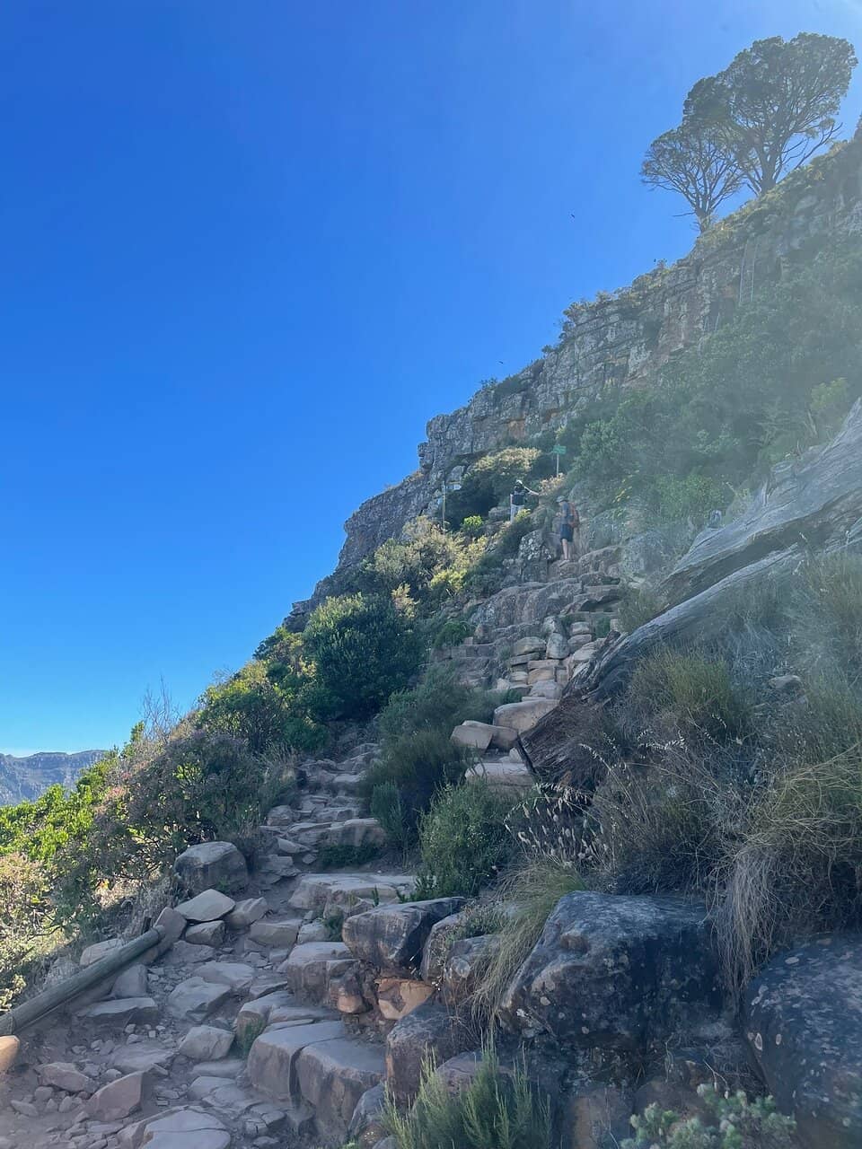 Summit Views