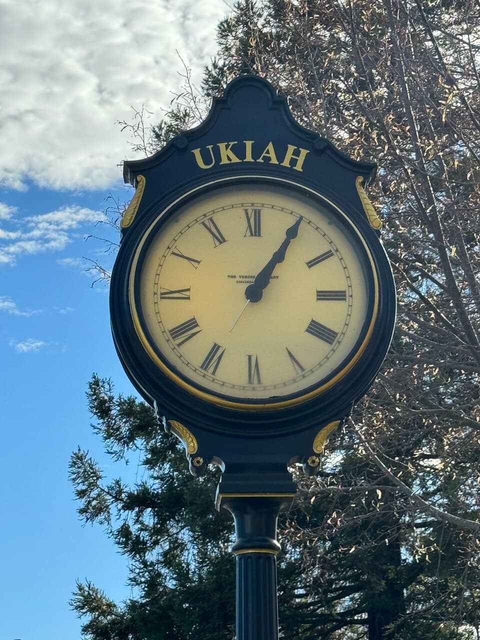 Vertical photo