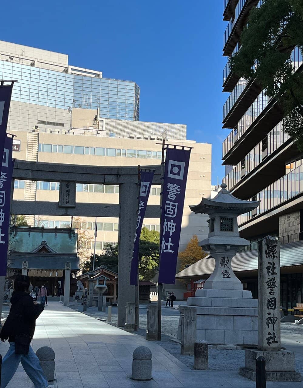 Adjacent Park Serenity