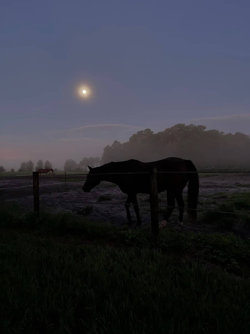 Off-Road Segway Tours