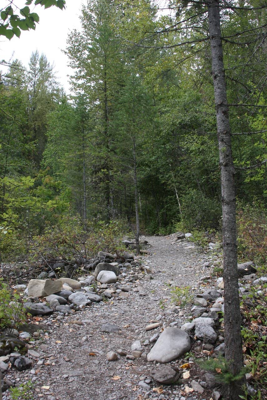 Peaceful Creek Walk